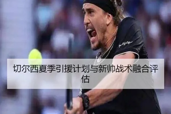 切尔西夏季引援计划与新帅战术融合评估